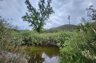 8700 Butts Canyon Rd, Pope Valley, CA 94567 - Photo 24