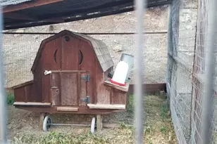 8700 Butts Canyon Rd, Pope Valley, CA 94567 - Photo 36