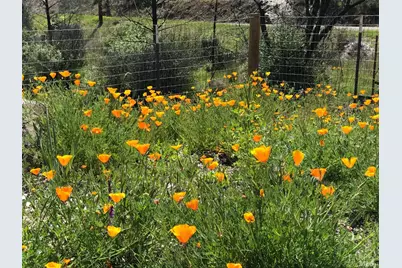 8700 Butts Canyon Road, Pope Valley, CA 94567 - Photo 18