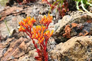 8700 Butts Canyon Rd, Pope Valley, CA 94567 - Photo 22