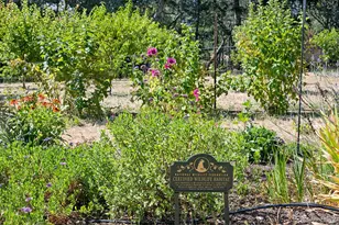 4395 Pine Flat Rd, Healdsburg, CA 95448 - Photo 74