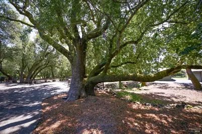 2120 Grove Street, Sonoma, CA 95476 - Photo 54