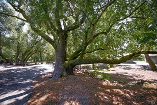 2120 Grove St, Sonoma, CA 95476 - Photo 54