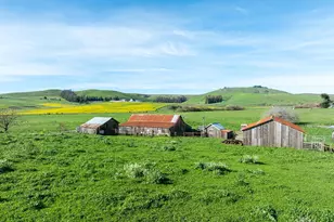 14550 Valley Ford Estero Rd, Valley Ford, CA 94972 - Photo 4