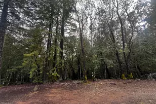 2149 Goose Rd, Willits, CA 95490 - Photo 1