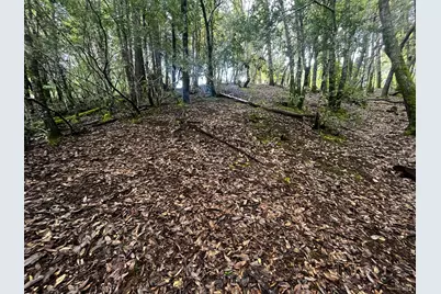 2149 Goose Road, Willits, CA 95490 - Photo 6