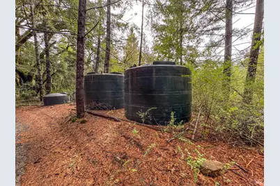 545 Bear Pen Road, Piercy, CA 95587 - Photo 6