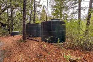 545 Bear Pen Rd, Piercy, CA 95587 - Photo 6