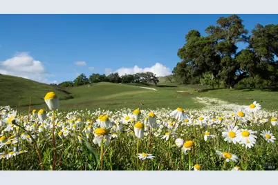 2700 Geysers Road, Geyserville, CA 95441 - Photo 48