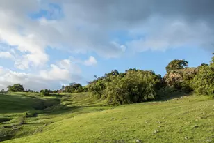 2700 Geysers Rd, Geyserville, CA 95441 - Photo 38