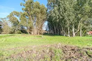 19360 Linden St, Sonoma, CA 95476 - Photo 30