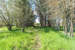 19360 Linden St, Sonoma, CA 95476 - Photo 28