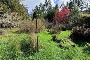 3480 N Albion Ridge G Rd, Albion, CA 95410 - Photo 24