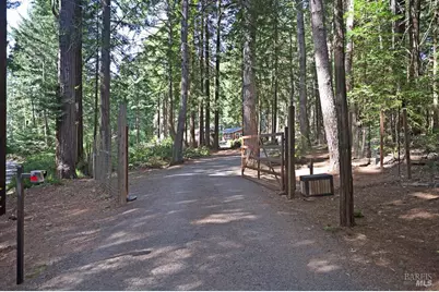 17600 Willow Creek Road, Occidental, CA 95465 - Photo 4