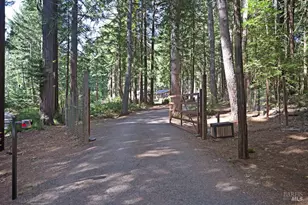 17600 Willow Creek Rd, Occidental, CA 95465 - Photo 4