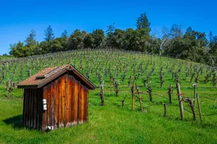 18345 Hwy 128, Calistoga, CA 94515 - Photo 42