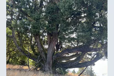 39000 Crispin Road, Manchester, CA 95459 - Photo 14