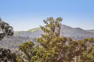 99 Deer Park Ave, San Rafael, CA 94901 - Photo 26