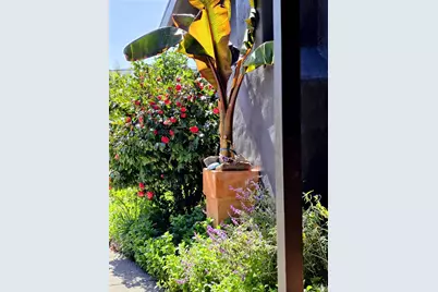 2100 Center Road, Novato, CA 94947 - Photo 10