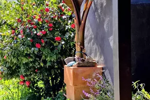 2100 Center Rd, Novato, CA 94947 - Photo 10