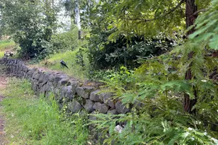 4000 Ridgewood Rd, Willits, CA 95490 - Photo 38