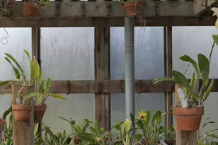 43700 Mountain View Rd, Manchester, CA 95459 - Photo 82