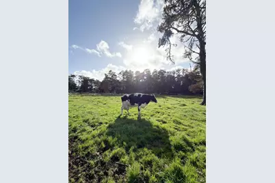 43700 Mountain View Road, Manchester, CA 95459 - Photo 60