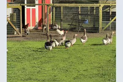 43700 Mountain View Road, Manchester, CA 95459 - Photo 46