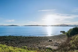 435 Tremont Ave, Point Richmond, CA 94801 - Photo 42