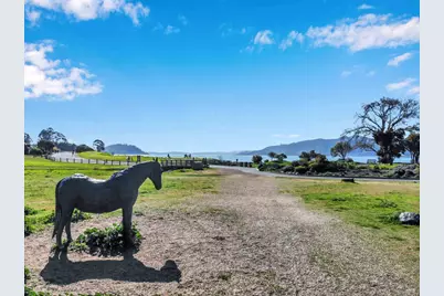 5002 Paradise Drive, Tiburon, CA 94920 - Photo 64