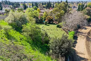 3005 Marigold Dr, Fairfield, CA 94533 - Photo 6