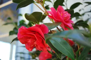 24 La Cresta Dr, Petaluma, CA 94952 - Photo 40