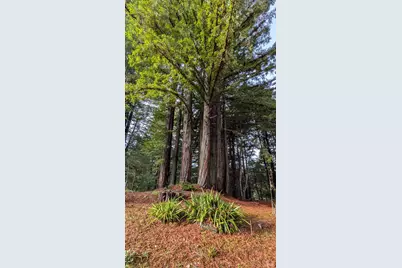 19800 Appaloosa Way, Philo, CA 95466 - Photo 14