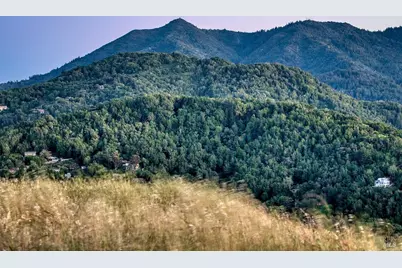 189 Oak Springs Drive, San Anselmo, CA 94960 - Photo 38