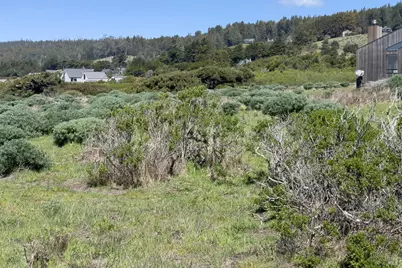 36910 Green Cove Drive, The Sea Ranch, CA 95497 - Photo 10