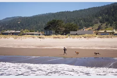 246 Seadrift Road, Stinson Beach, CA 94970 - Photo 4
