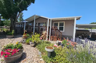 265 Spanish Flag Way, Sonoma, CA 95476 - Photo 34