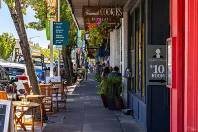 471 Florence Avenue, Sebastopol, CA 95472 - Photo 68