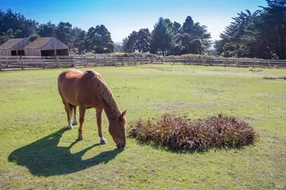 37284 Rams Horn Reach, The Sea Ranch, CA 95497 - Photo 16