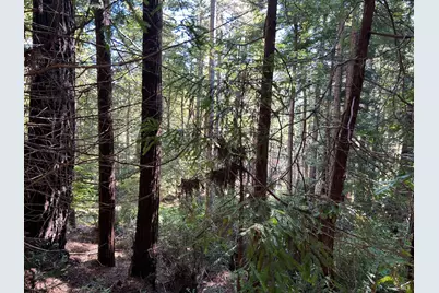 39700 Eureka Hill Road, Point Arena, CA 95468 - Photo 8