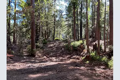 39700 Eureka Hill Road, Point Arena, CA 95468 - Photo 10