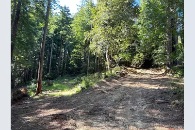 39700 Eureka Hill Road, Point Arena, CA 95468 - Photo 2