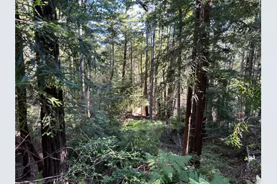 39700 Eureka Hill Road, Point Arena, CA 95468 - Photo 6