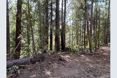 39700 Eureka Hill Road, Point Arena, CA 95468 - Photo 4