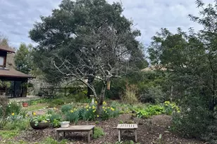 7 Linsdale Ln, Point Reyes Station, CA 94956 - Photo 8