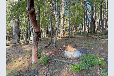 28140 Poppy Drive, Willits, CA 95490 - Photo 2