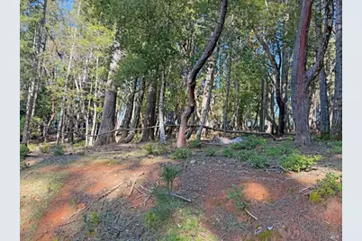 28140 Poppy Drive, Willits, CA 95490 - Photo 2
