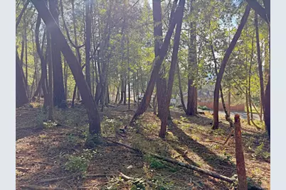 28140 Poppy Drive, Willits, CA 95490 - Photo 4