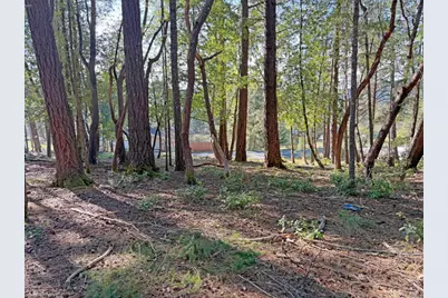 28140 Poppy Drive, Willits, CA 95490 - Photo 4