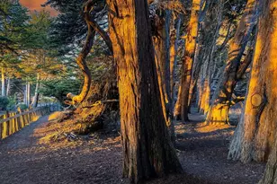 39574 Leeward Rd, The Sea Ranch, CA 95497 - Photo 66